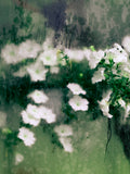 Greenhouse FL IV