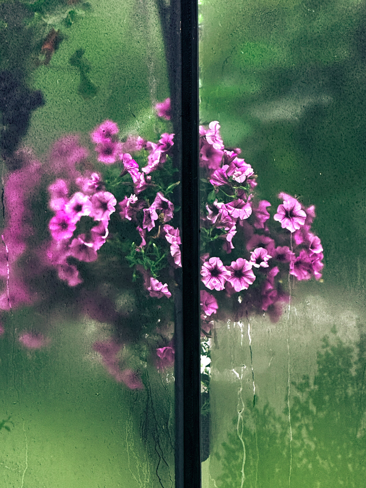 Greenhouse FL III