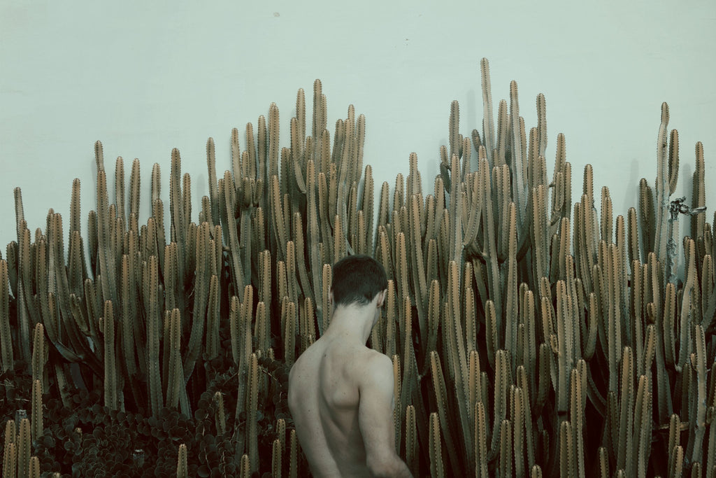 Cacti Boy