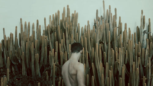 Cacti Boy